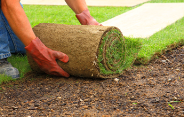 Turf Laying