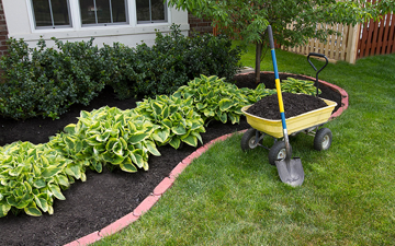 Turfing, Planting & Boarders